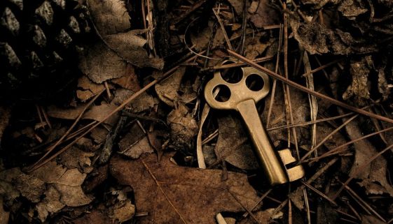 skeleton key surround with dry leaves